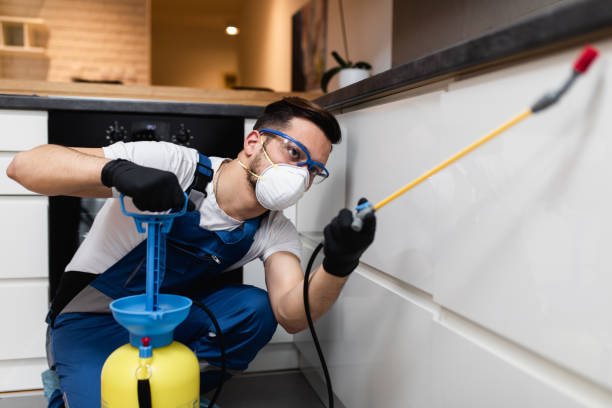Best Emergency Pest Control  in Rosamond, CA