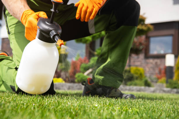 Best Mosquito Control Services  in Rosamond, CA