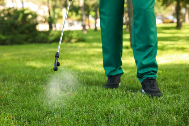 Best Rat Extermination Near Me  in Rosamond, CA