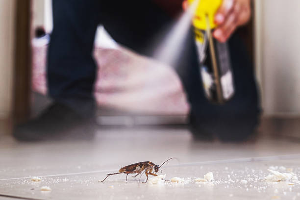 Best Best Pest Control Companies  in Rosamond, CA
